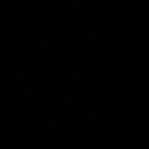 Meet your Posher, Jerome